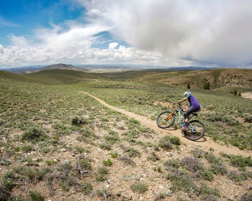 A man bikes on flat-ish sage-covered Signal Peak trails on a partly cloudy day in summer