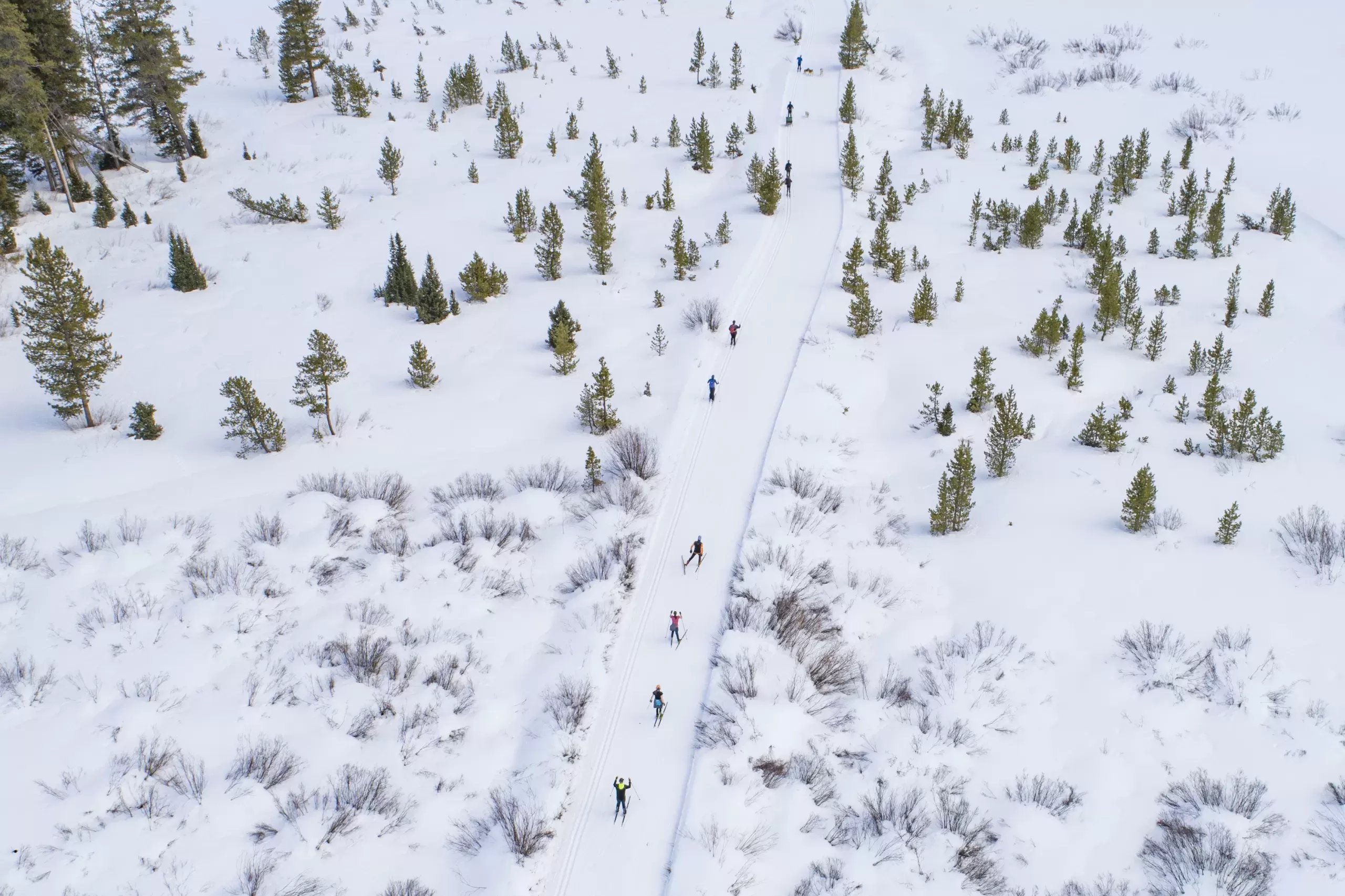 An aerial view of six people skiing on a cross-country ski trail